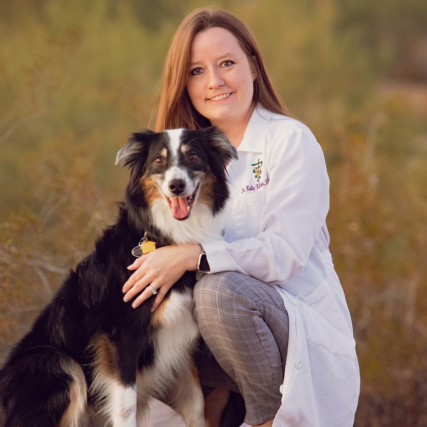 Dr. Katie Kitchen