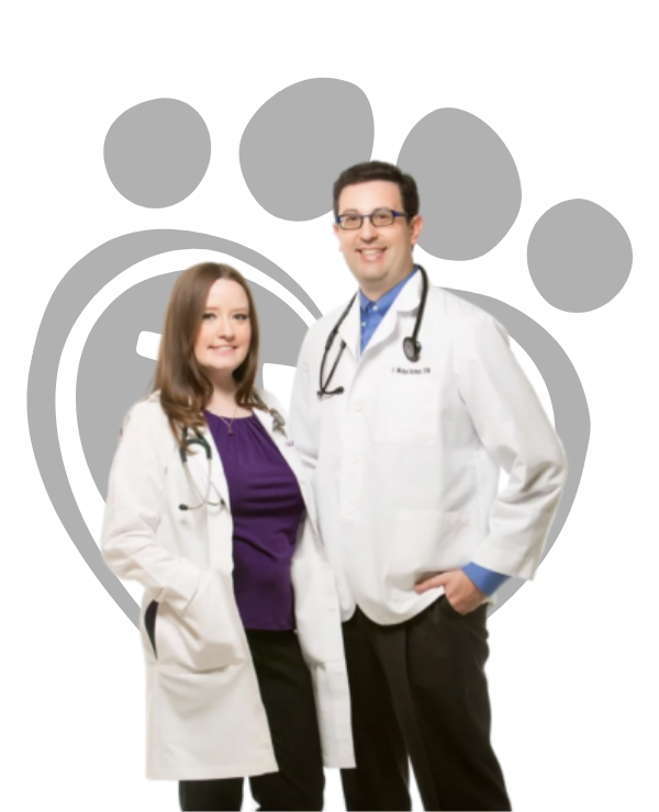 grayhawk doctors