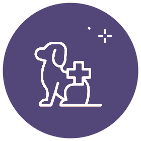 Animal Hospital at Grayhawk pet health icon